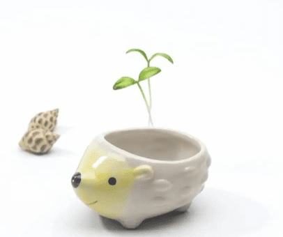 Ceramic Cartoon Hedgehog Pig Elephant With Bottom Hole Succulent Flower Pot