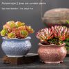 Large Succulent Flower Pot Ceramic